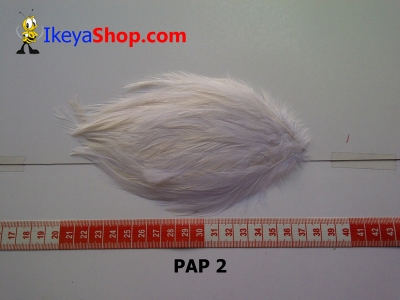 bulu PAD polos PAP 2   feather  large2